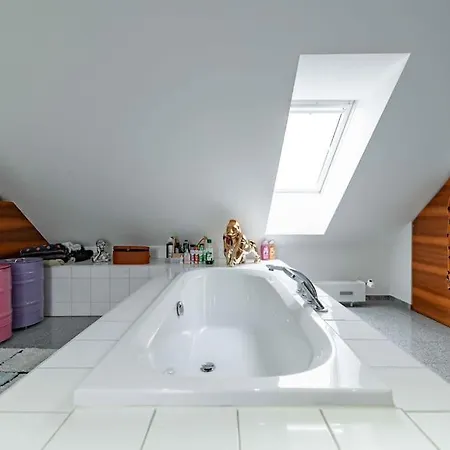 Loftwohnung 270 Qm Mit Fitnesstudio Апартаменты *