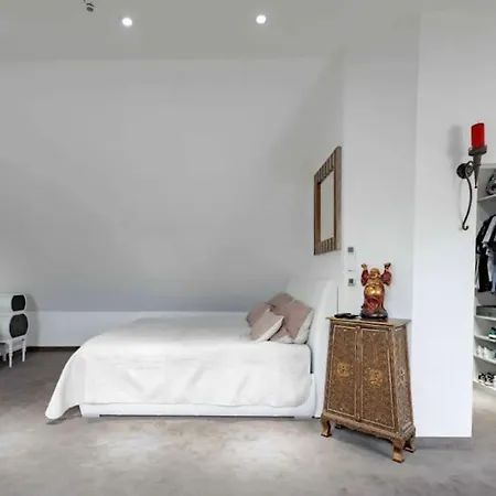 Loftwohnung 270 Qm Mit Fitnesstudio Апартаменты Кемптен